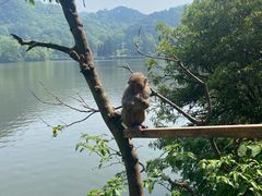-黔灵山公园