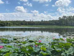 -长春市南湖公园