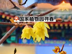 -国家植物园