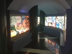 -上海昆虫博物馆