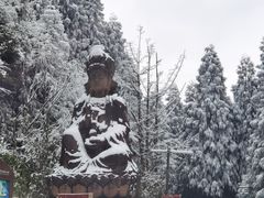 -武陵山森林公园