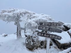 -朱雀国家森林公园