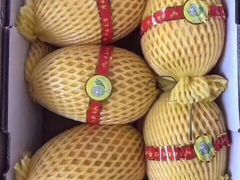 -乐乐鲜果水果超市(河北店)