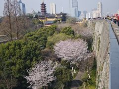 -南京城墙景区