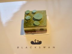 -BLACKSWAN黑天鹅(环球店)