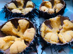 -海胆小馆(东北水饺·春柳店)