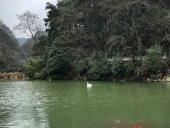 -黔灵山公园