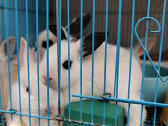 -江味龙虾馆·裸蓝龙虾(南山店)