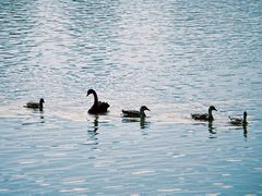 -艾溪湖湿地公园