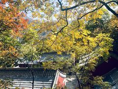 -北京上方山国家森林公园