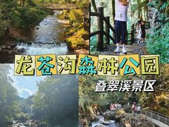 -龙苍沟森林公园