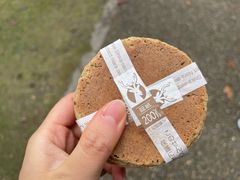 -奈良公园
