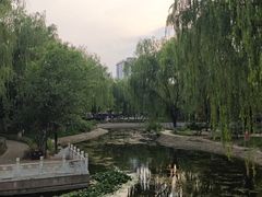 -丰台科技园生态主题公园