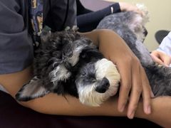 -美联众合动物医院·24h转诊中心