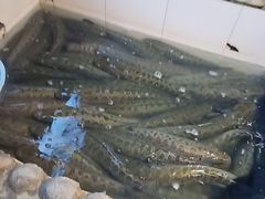 -湘芙蓉·湖南菜(椒江店)