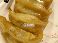 牛肉煎饺-贯贯吉·清真餐厅(浙江中路店)