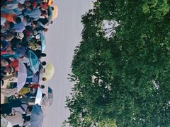 -观潮胜地公园