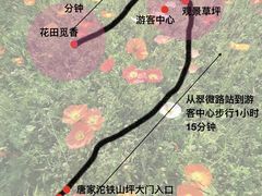 -铁山坪森林公园