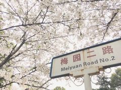 -武汉大学-樱园