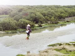-北海金海湾红树林生态旅游区