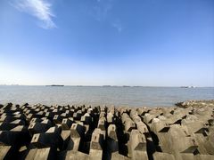 -上海滨江森林公园