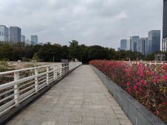 -皇庭广场(福华三路店)