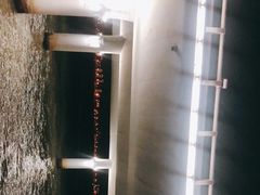 -演武大桥观景平台