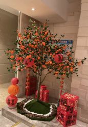 -丽妍雅集 Rubis SPA
