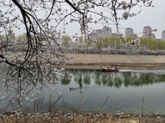 -桃花堤公园
