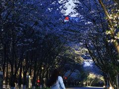 -南京明基医院