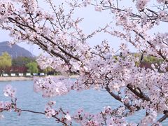-羊山湖公园