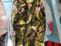 -喜欢吃鱼(非遗博览园总店)