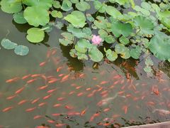-西海子公园