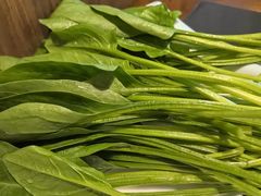-晓林火锅(安定门店)