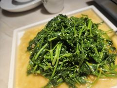-滇铺子·云南特色菜·鲜花野菜季(曲靖万达店)