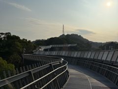 -福道