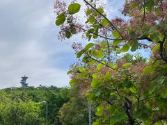 -北京奥林匹克公园
