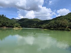 -广州白江湖森林公园