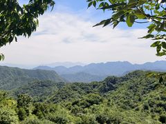 -大岭沟猕猴桃谷风景区