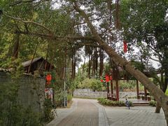 -御霞苑泥烩鸡休闲农庄