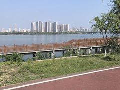 -艾溪湖湿地公园