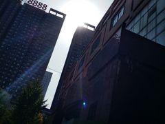 -西北大学(桃园校区)