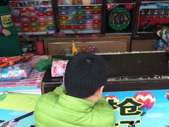 -逍遥津公园