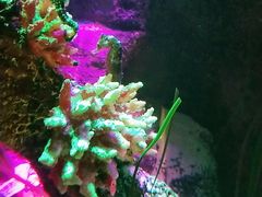 -沈阳海洋探索中心