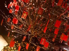 -万丽轩·粤菜(王府井金茂万丽酒店)