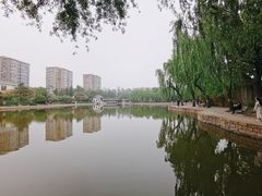 -团结湖公园