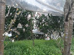 -樱桃山旅游景区