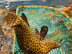 -大天然酒店(军民路店)