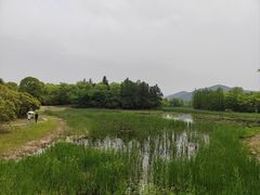 -长广溪湿地公园