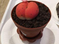 -85度C(上海兰溪二店)